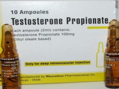 Testosterone Propionat