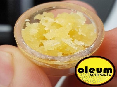 OLEUM EXTRACTS Narnia Honey Crystal